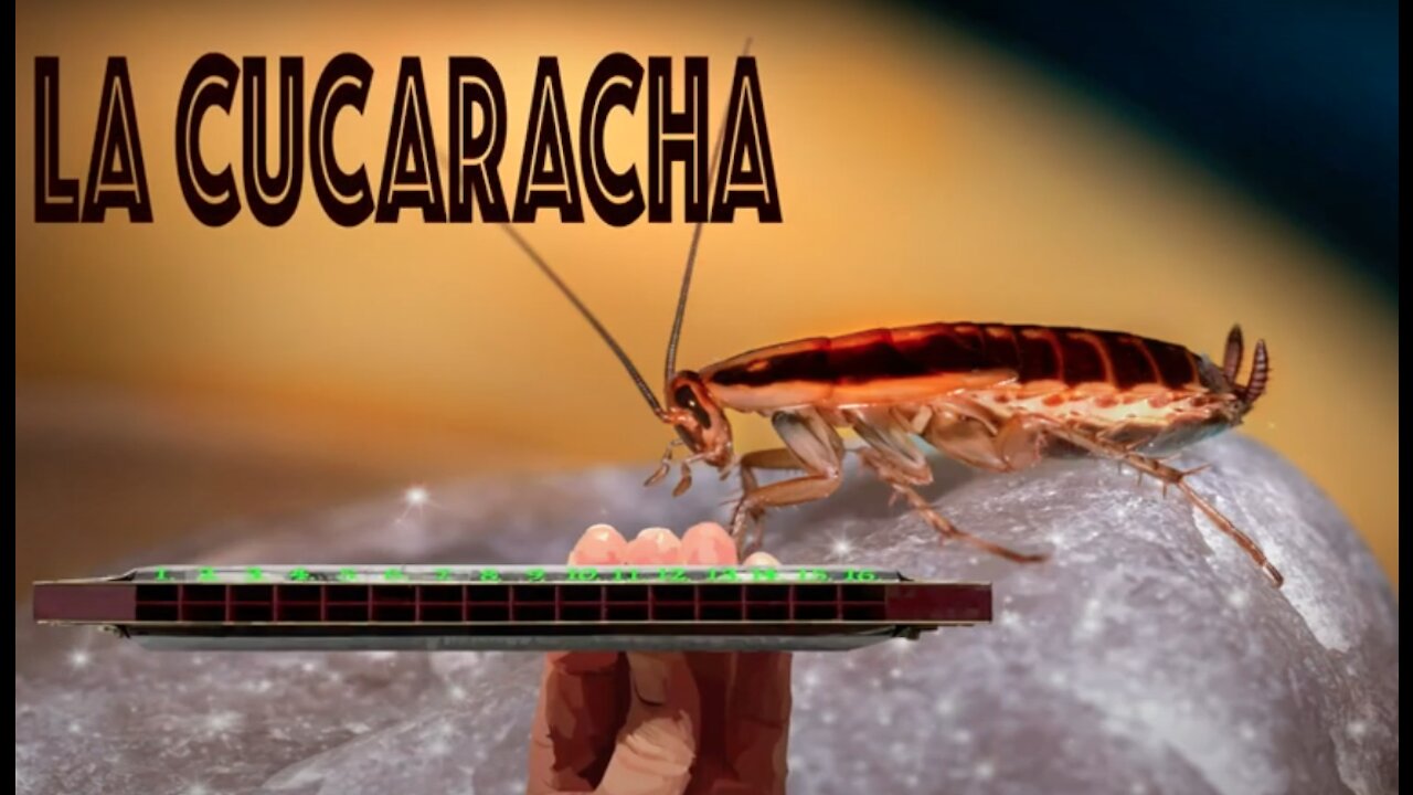 How to Play La Cucaracha on a Tremolo Harmonica with 16 Holes