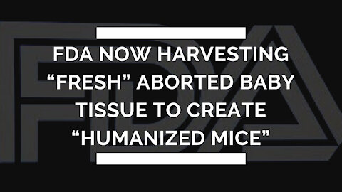 Why is the FDA harvesting aborted baby tissue?