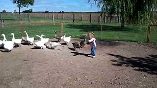 A Wild Goose Chase Fail