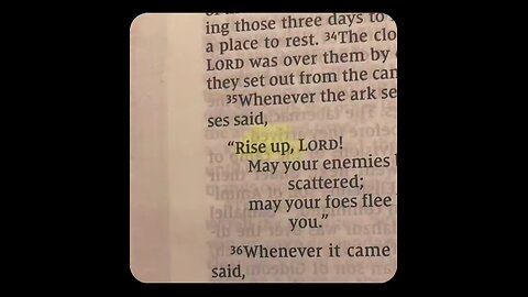 Rise up