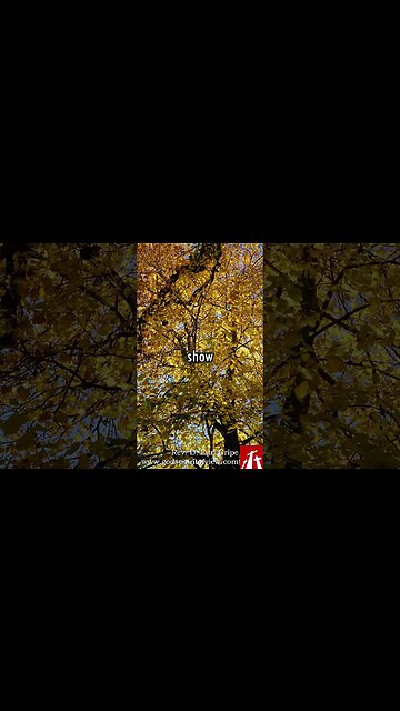 Christian, Don't Tell Me About Your Faith | God's Point of View (Short #76)