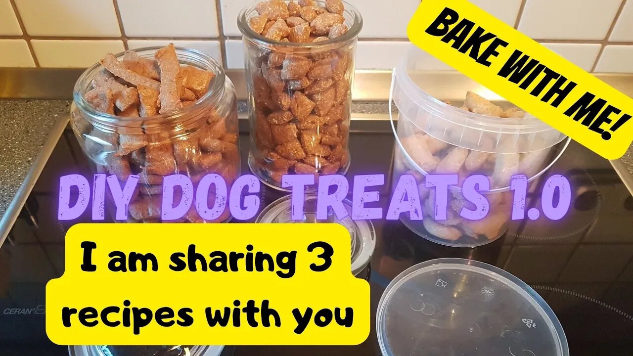 BAKE Dog Treats with me