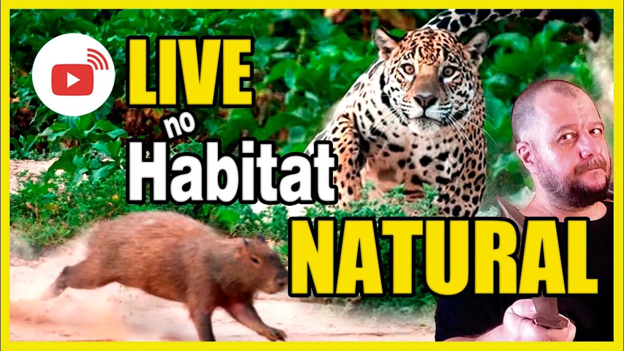 Live no Habitat Natural!