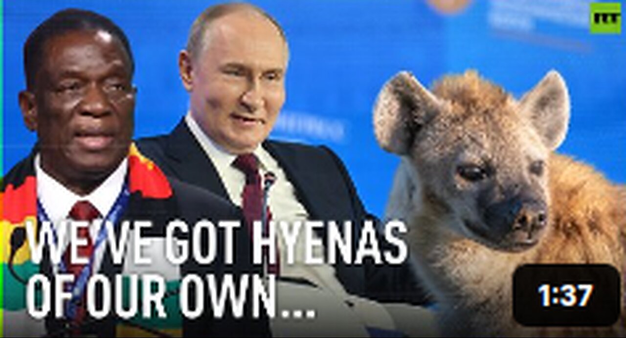 'We’ve got hyenas of our own… in Europe’: Putin responds to African leader’s ‘gift’ offer