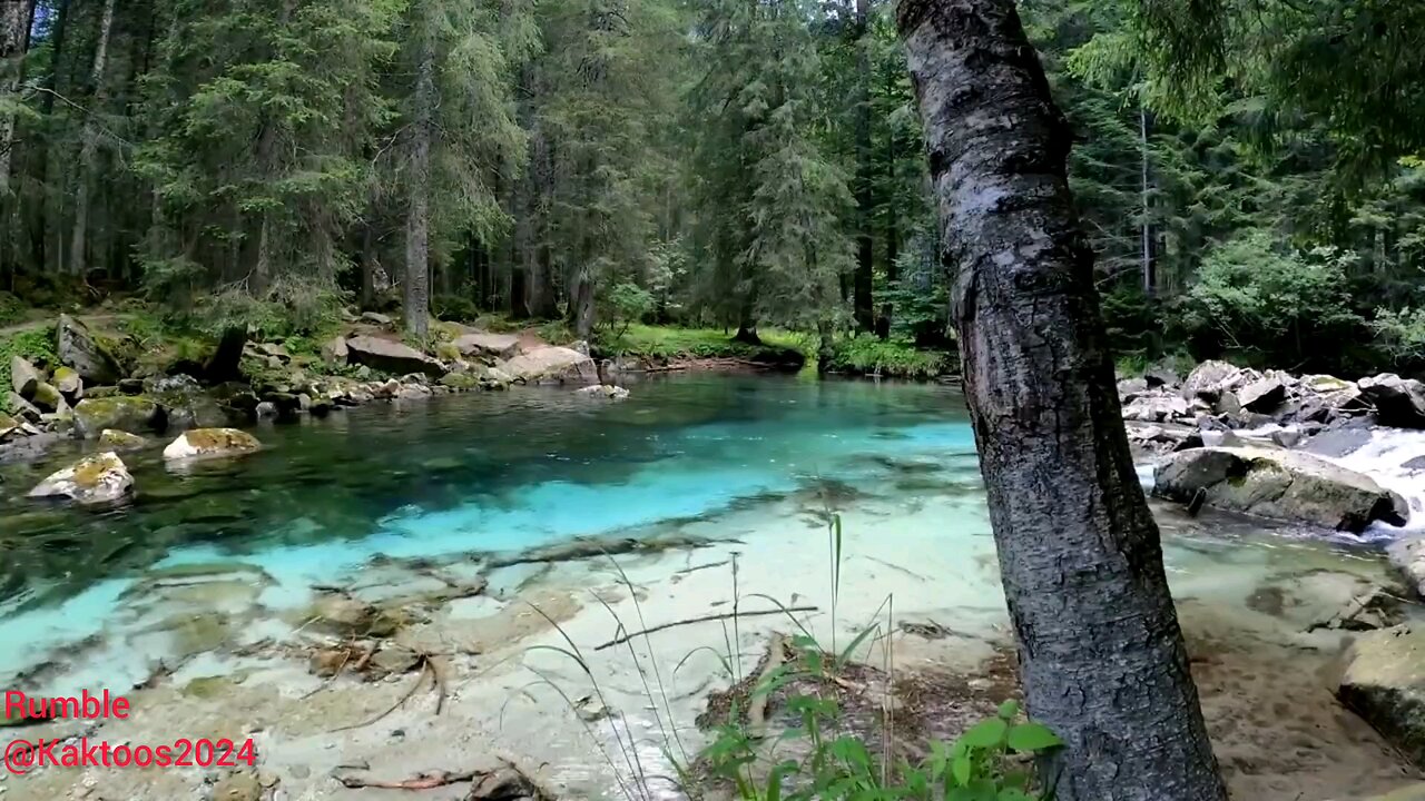 beautiful nature video