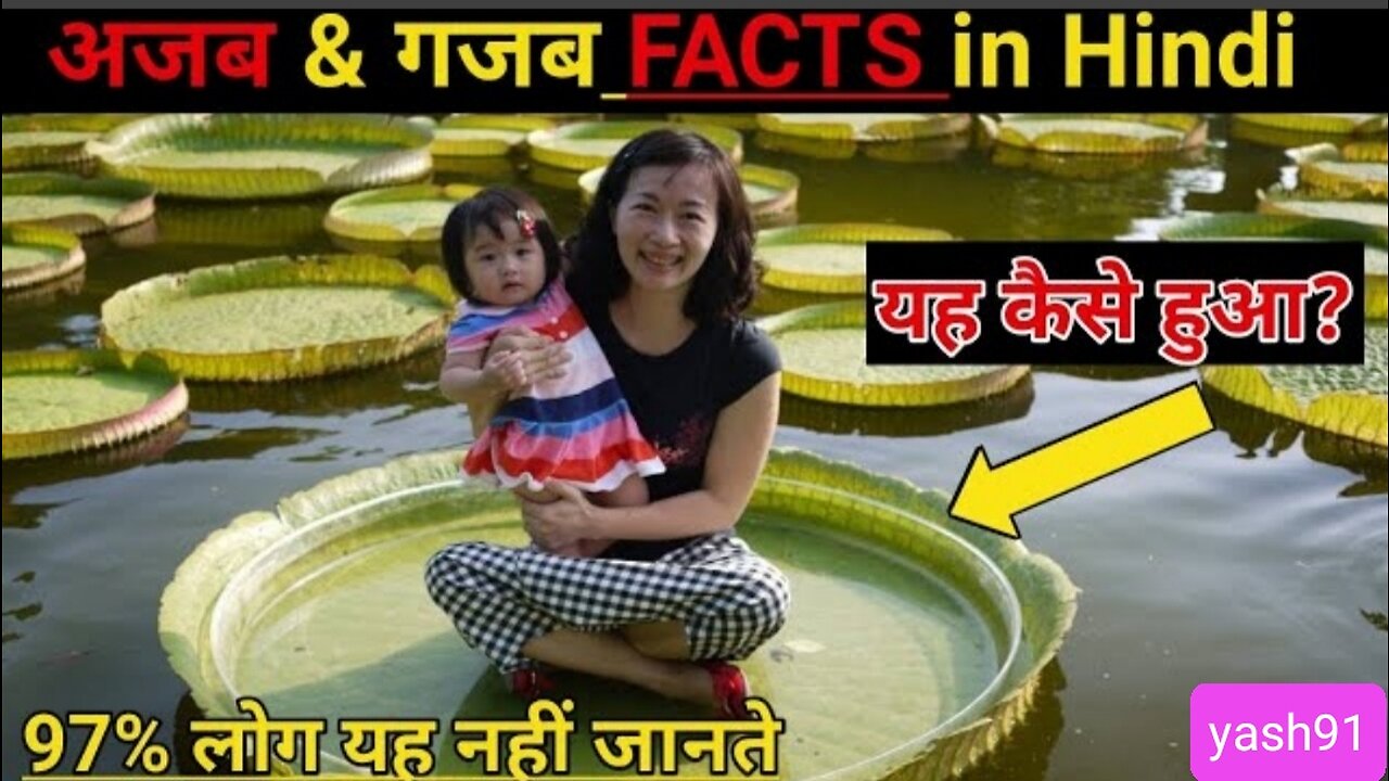 Top 5 amazing facts || fact video || in hindi