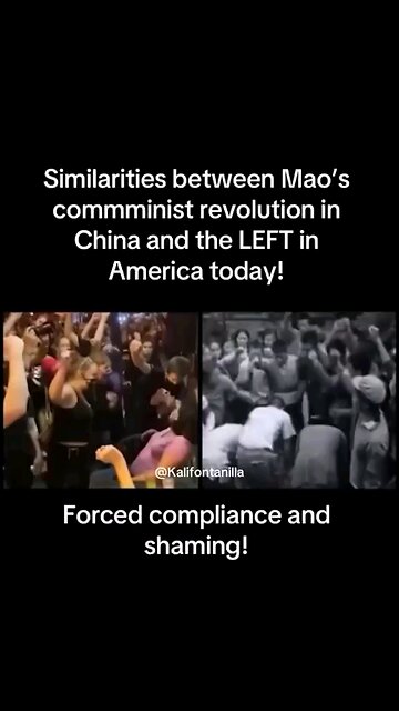 Similarities between Mao's communist revolution in China and the left in America today