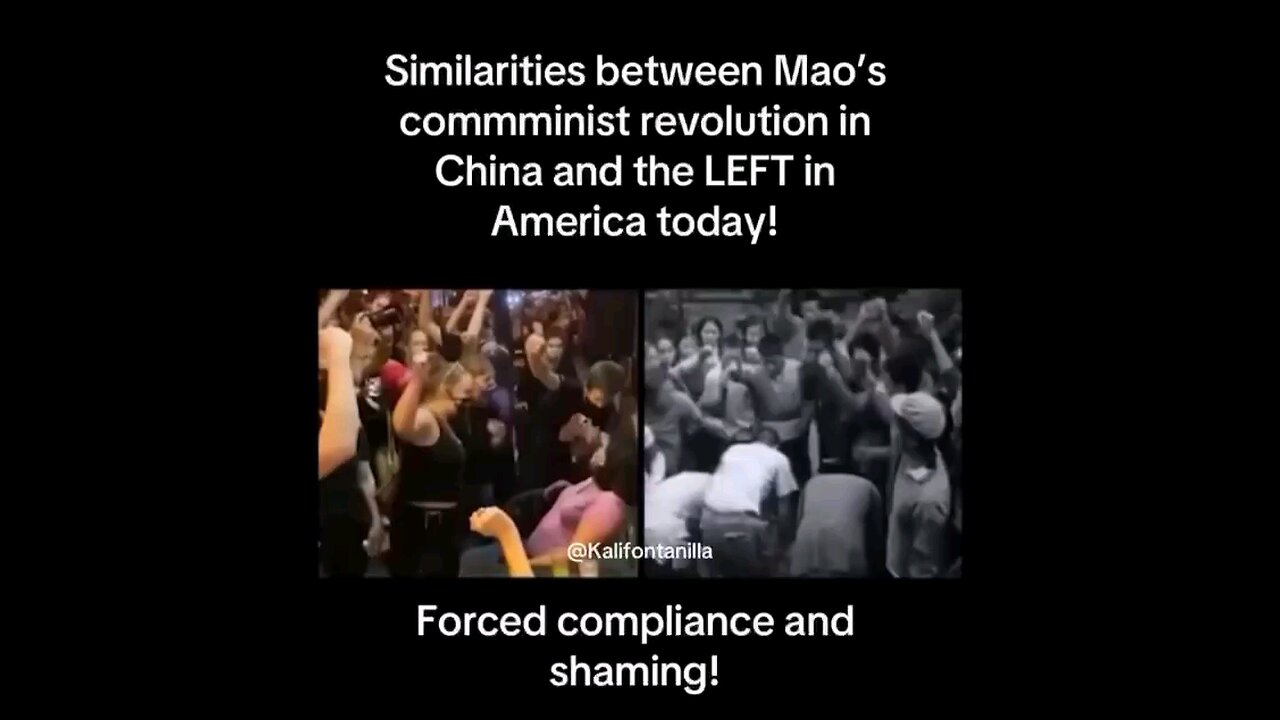 Similarities between Mao's communist revolution in China and the left in America today