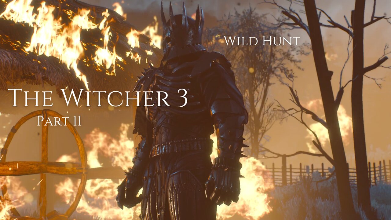 The Witcher 3 Wild Hunt Part 11 - Wild Hunt