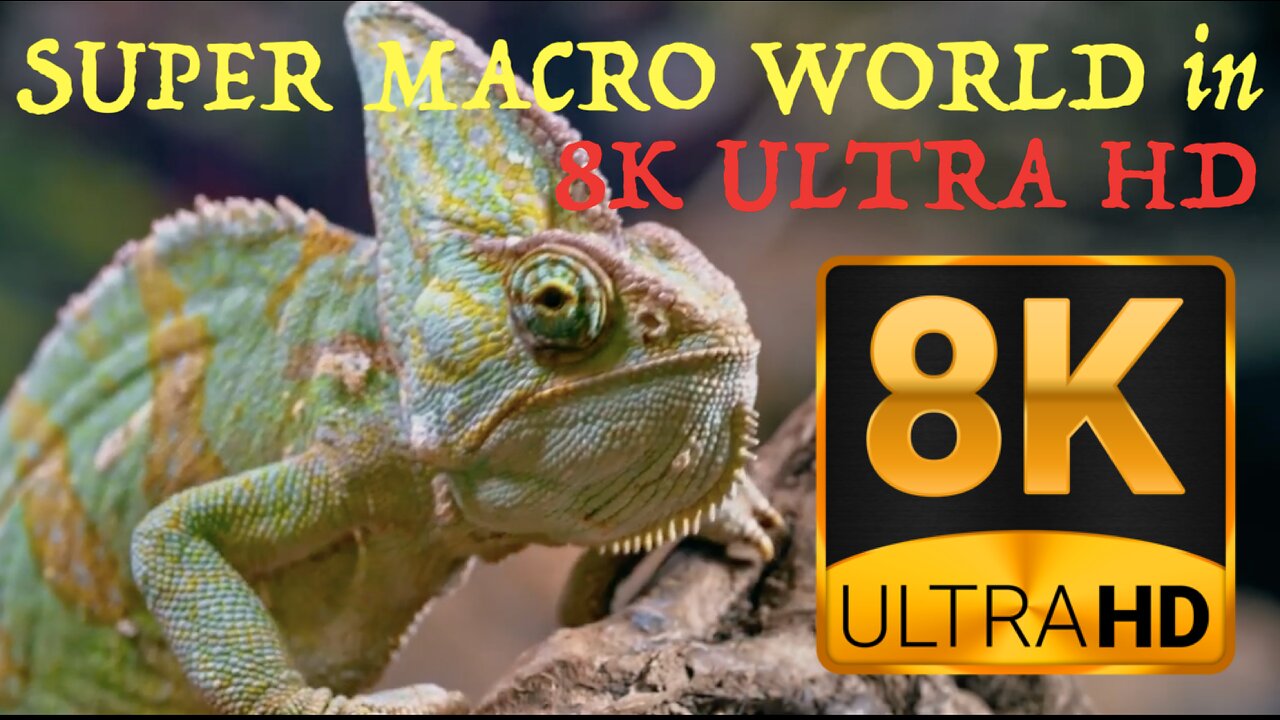 SUPER MACRO WORLD in 8K ULTRA HD