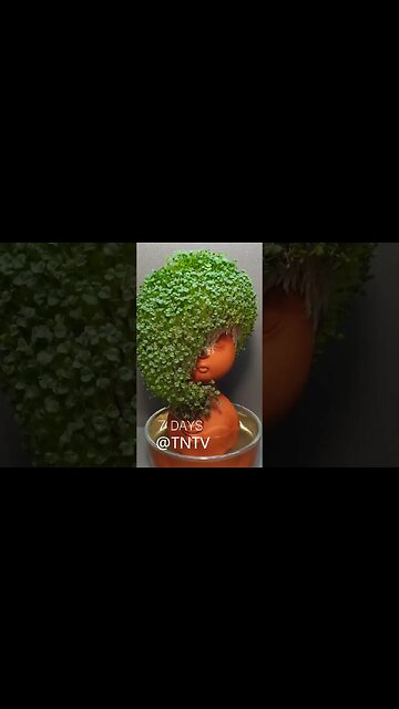 woow 🙄😍 #shorts #youtube