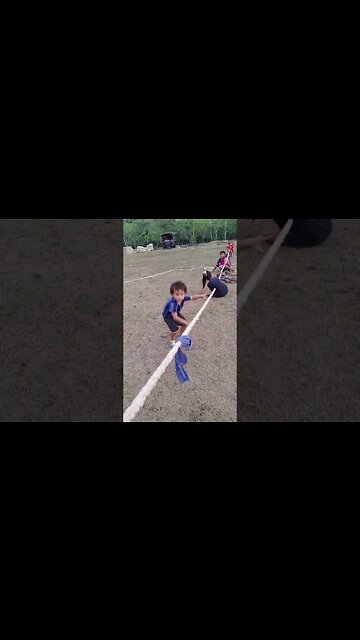 Baby in Over His Head Doing Tug of War!