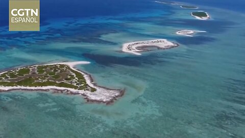 La ciudad más meridional de China acoge el Campamento Juvenil de Verano de Poesía Oceánica