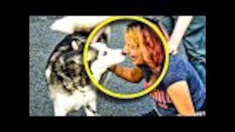 Dog Keeps Poking Mom's Chest, Doctor Sees Scan And Realizes Mistake