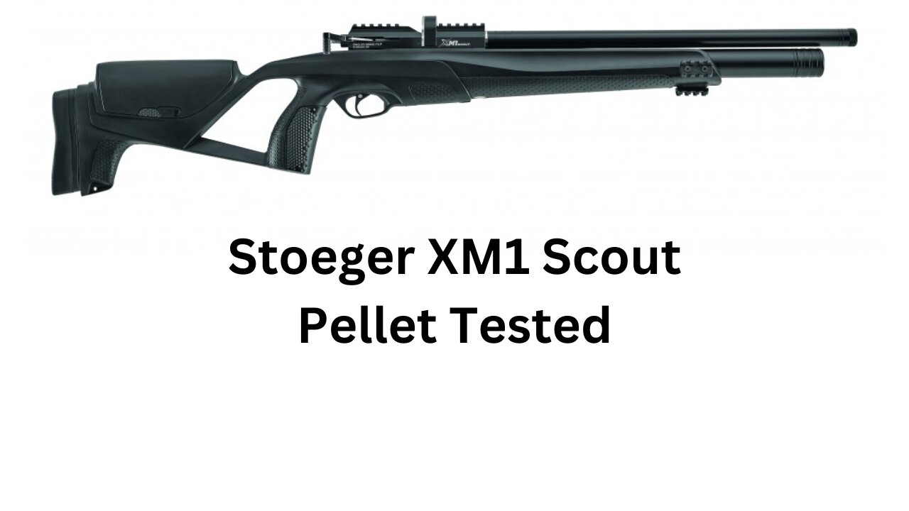 Stoeger XM1 Scout Pellet tested