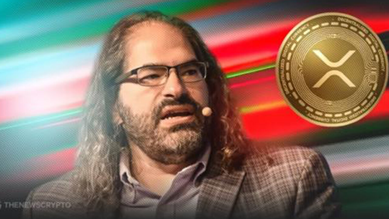 XRP RIPPLE DAVID SCHWARTZ GAME CHANGER !!!!!!!!