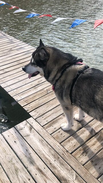 Friday Oct 25, Become as a little child