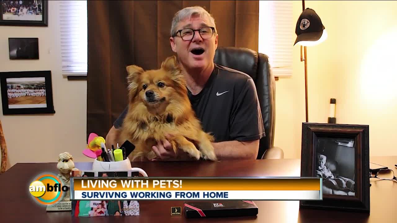 Greg Robbins - Living with Pets