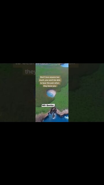 mfr Quotes in English(1) #MfrQuotes