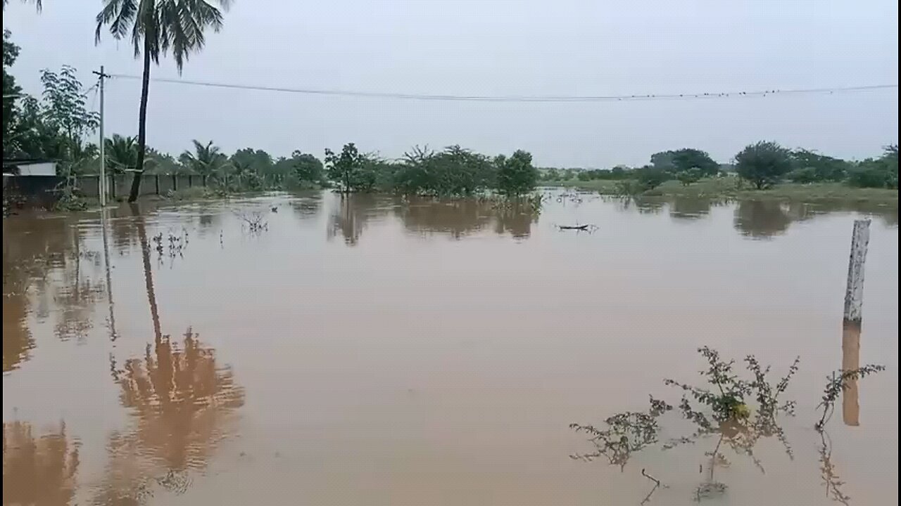 flood