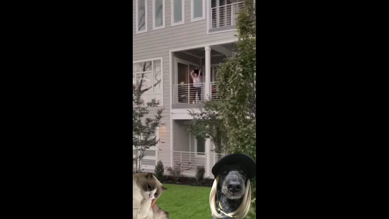 entertainment