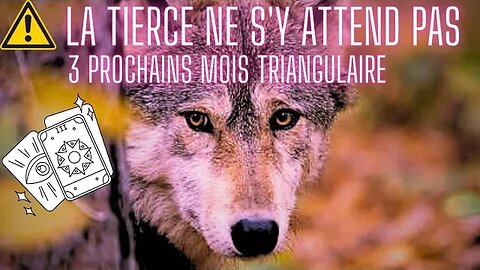 ⚠️ #TRIANGULAIRE ⚠️ LA #TIERCE NE S'Y ATTEND PAS !!! 😉🐾 #tiragesentimental #voyance #lovetarot