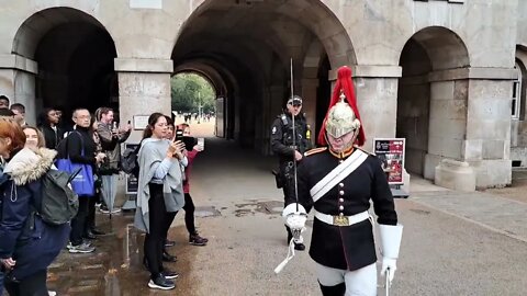 make way for the guard blues and royals #horseguardsparade