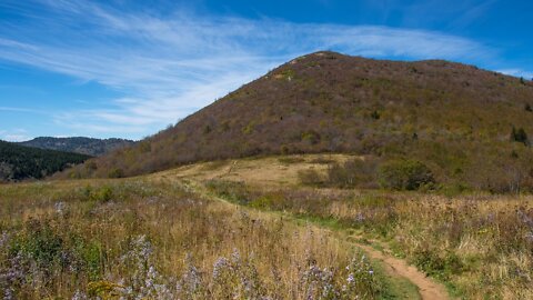 Sam Knob Trail