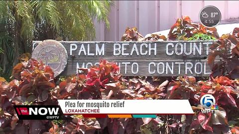 Plea for mosquito relief