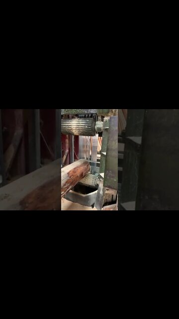 Most Popular video(1)