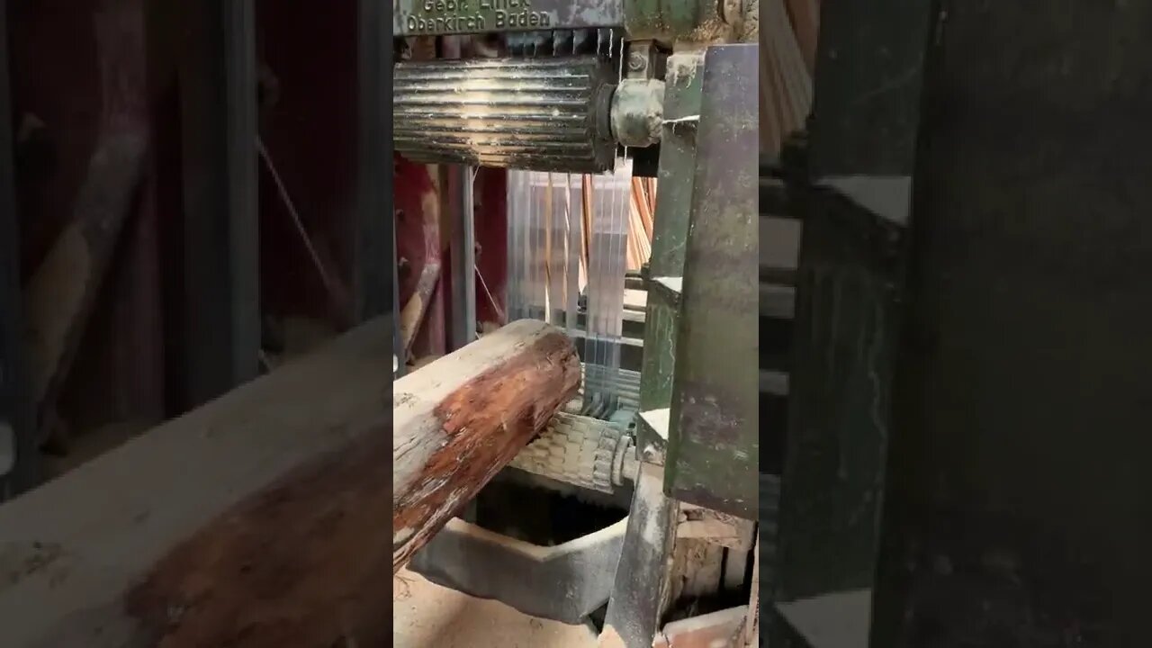 Most Popular video(1)
