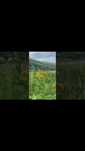 Kanadyjskie Dary Natury