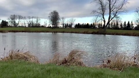 Relaxing With Nature at a Golf Course