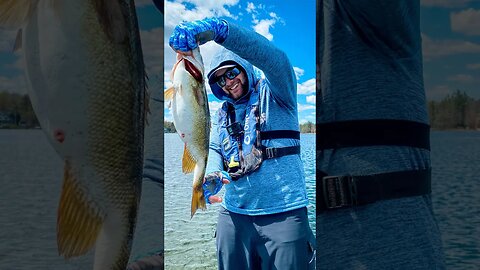What Happened to This Fish?! #fishing #shorts