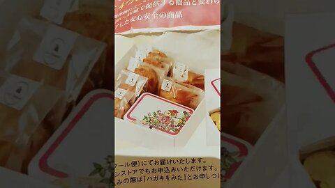 #etsukojunio #etsukofans #fransiscaofficial #teamfransisca #沉连清 #fransisca #fransiscametaworld