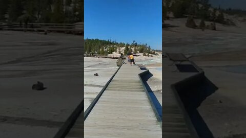 Walking on a boardwalk in the Norris Geyser Basin