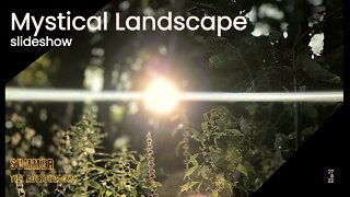 Mystical Landscape Reel