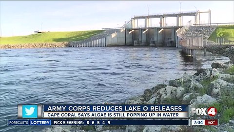 Algae bloom discovered along Caloosahatchee River in Fort Myers