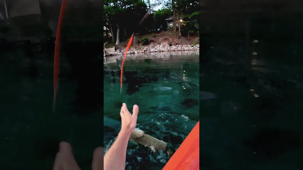 bass fishing in the kayak