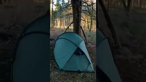 wildcamping amongst the trees