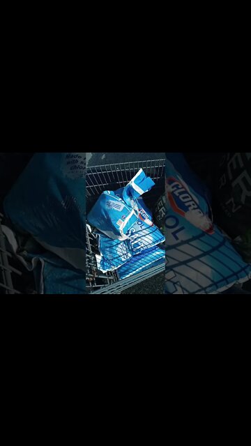 $1 Pool Salt for deer mineral lick Cheap Frugal