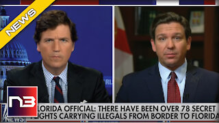 DeSantis Announcement Has Democrats Running for Cover