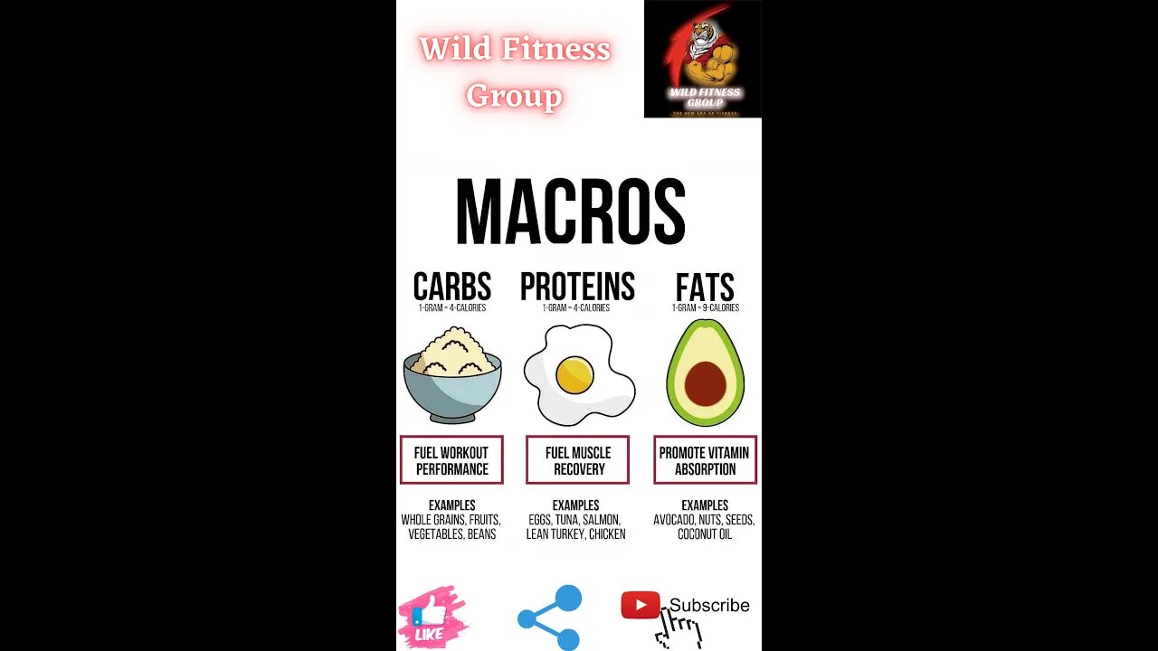 🔥Macros: carbs, proteins and fats🔥#fitness🔥#wildfitnessgroup🔥#shorts🔥