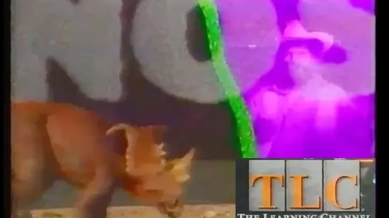 1994 TLC Commercial "Searching For Dinosaurs" on Ancient Journeys (90's Lost Media)