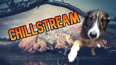 Saturday Night Chillstream I Beat The SICKNESS