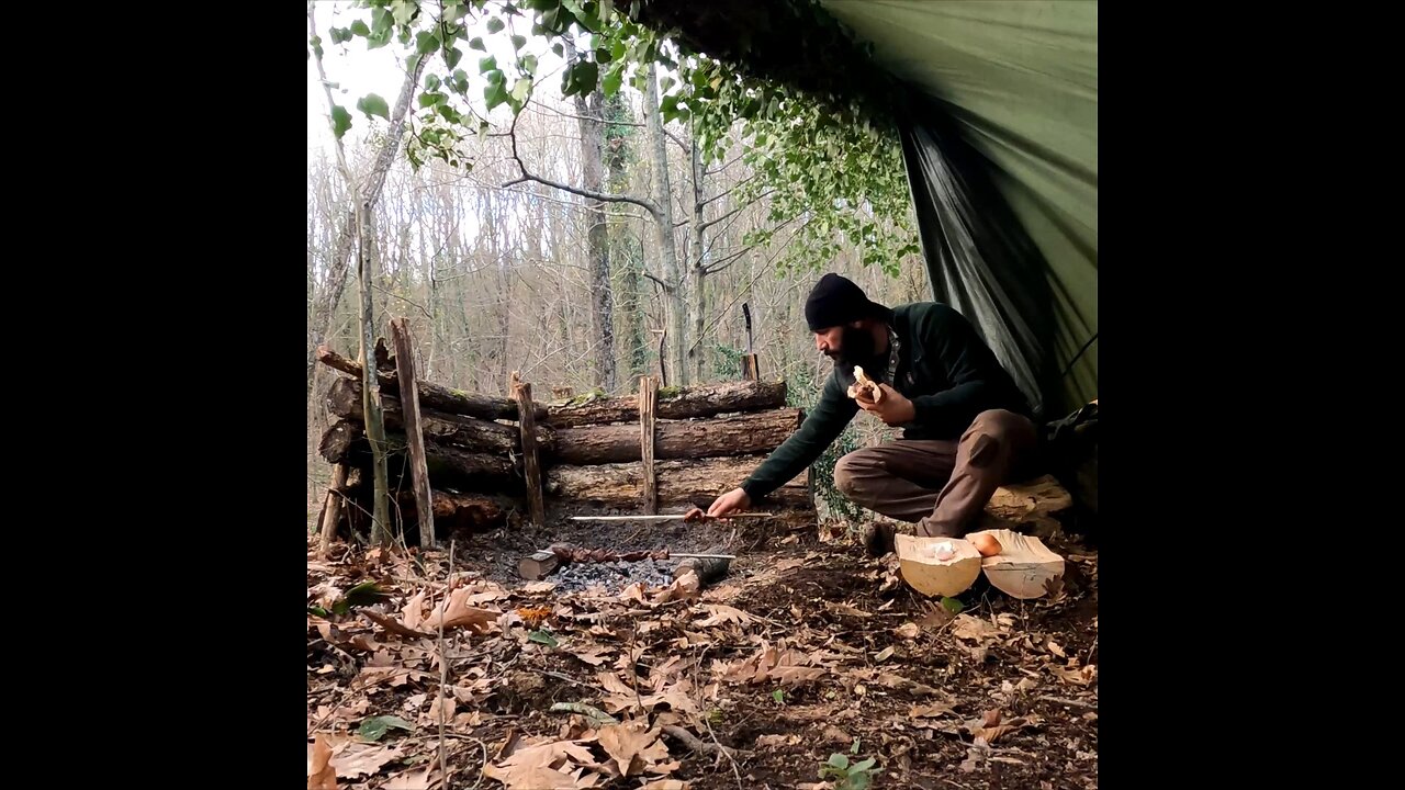 Bushcraft survival camping in the forest