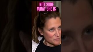 Im a feminist, OBVIOUSLY, Chrystia Freeland responds #shorts