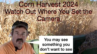 Corn Harvest 2024: Watch out where you set the Camera