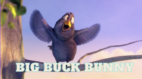 Big buck bunny