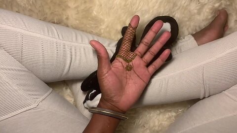 Bonus - Full Palm Design